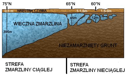 http://geografia_liceum.republika.pl/zmarzlina1.jpg